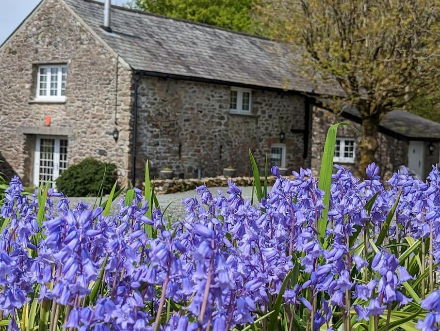 Lower Willsworthy Cottage Tavistock  Luaran gambar