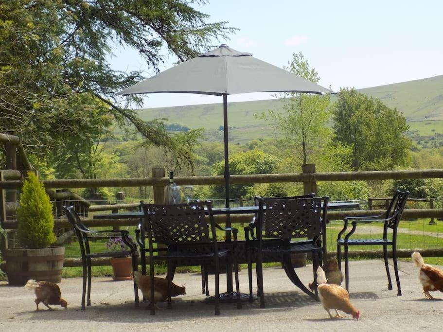 Lower Willsworthy Cottage Tavistock  Luaran gambar