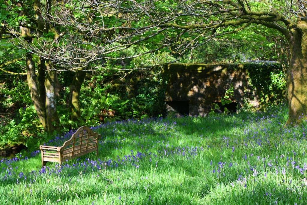 Lower Willsworthy Cottage Tavistock  Luaran gambar