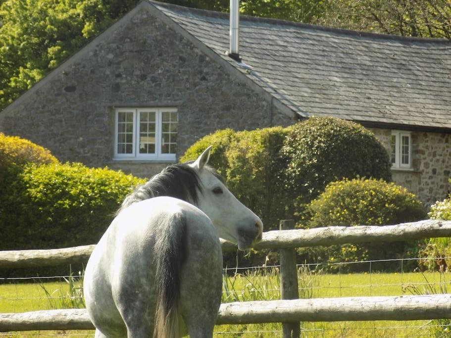 Lower Willsworthy Cottage Tavistock  Luaran gambar